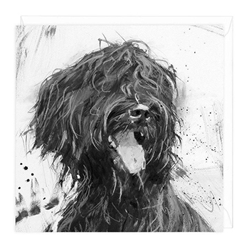 Card Briard Dog